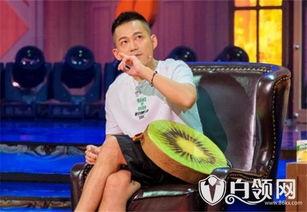 苏醒粉丝爆料视频最新,揭秘偶像幕后故事